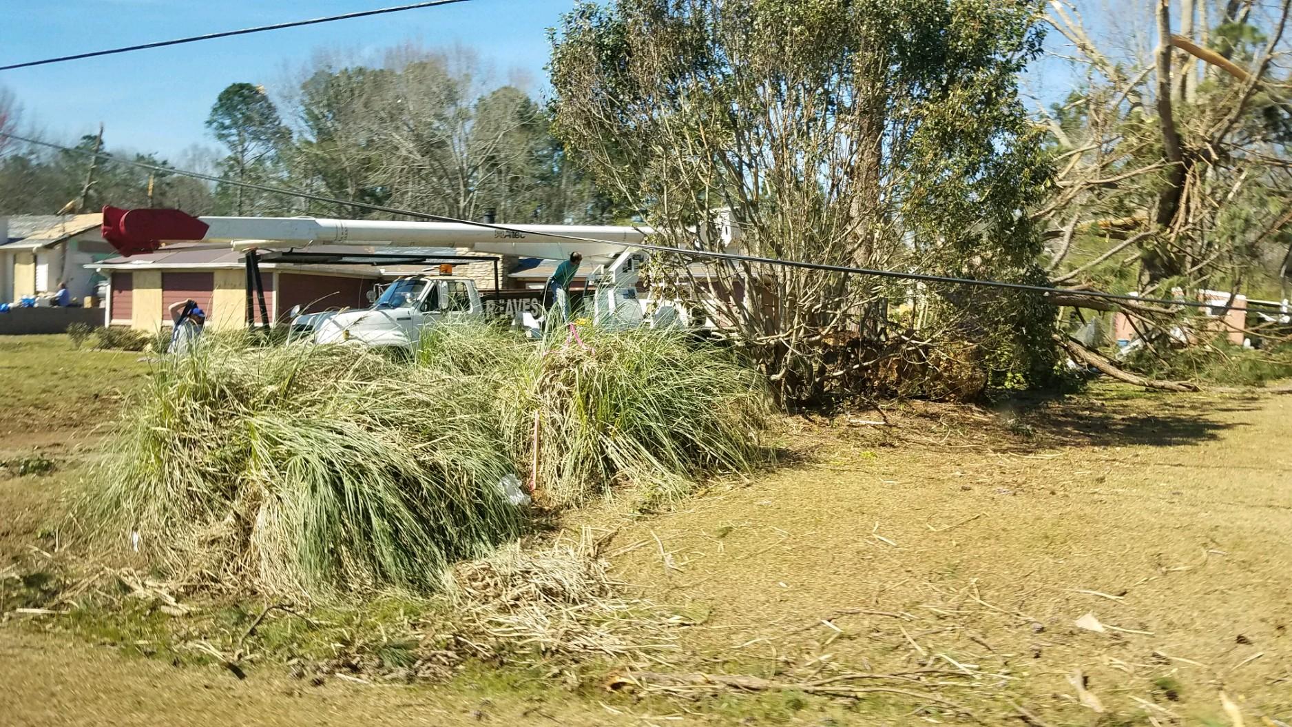 Bushes and trees blown over in front of a house after a tornado.