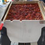 Crawfish meal preparation in Jennings, LA