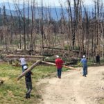 Volunteers carry lumber with burnt trees still standing in the background