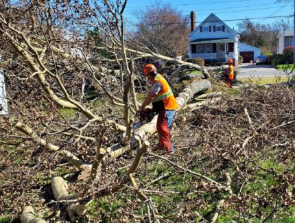 MDS volunteers from the Bethel Mennonite Church cut fallen trees in Nova Scotia