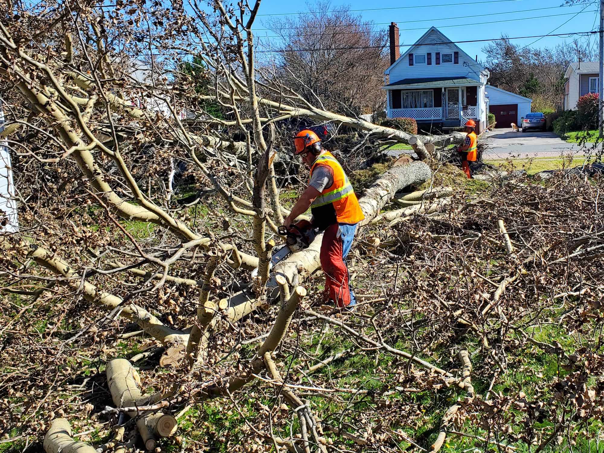 Volunteers Needed For Clean Up In Nova Scotia After Hurricane Fiona   MDS Volunteers From The Bethel Mennonite Church Cut Fallen Trees In Nova Scotia 