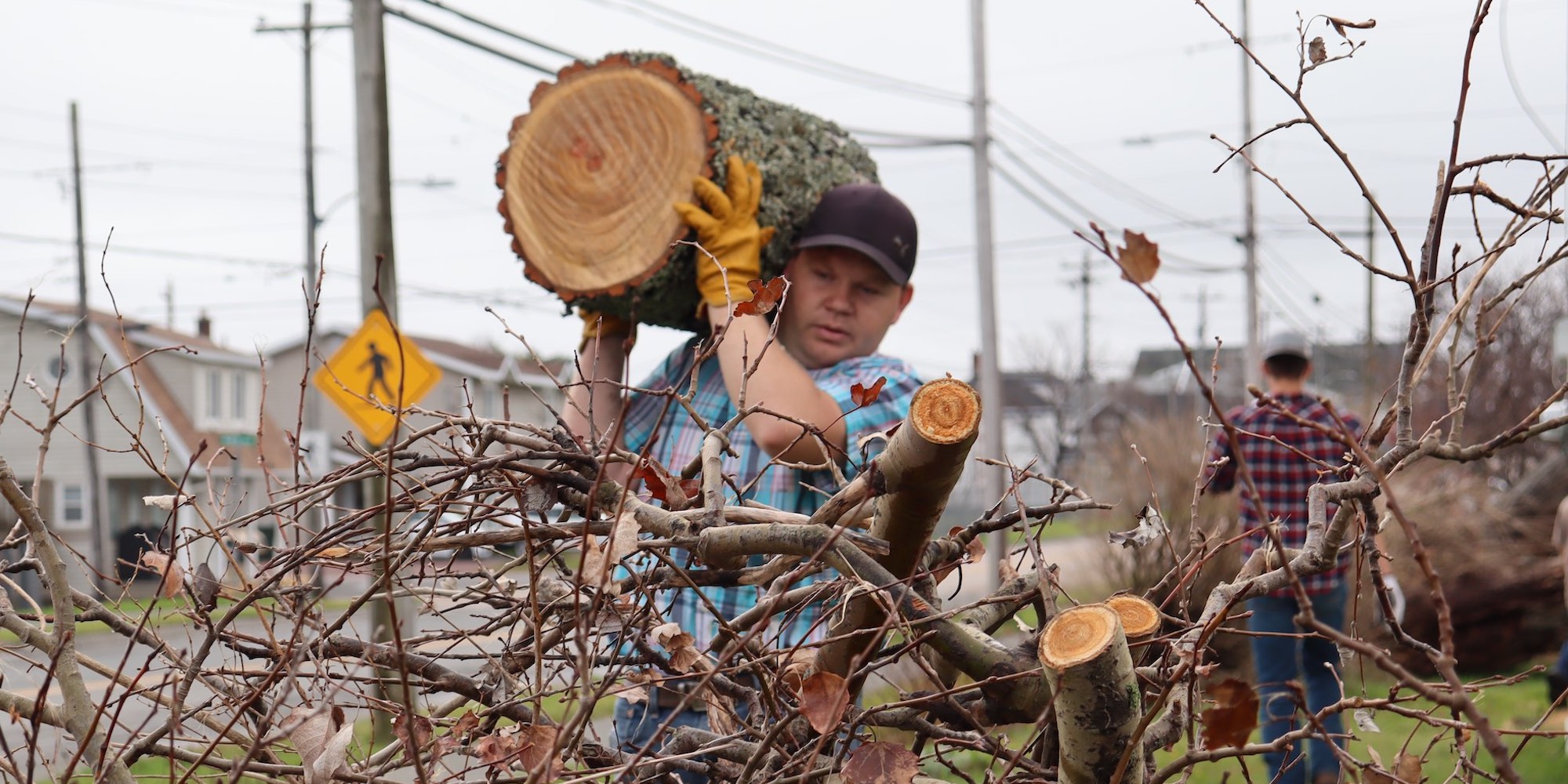 Old Colony John Peters helps remove cut up trees in Glace Bay 