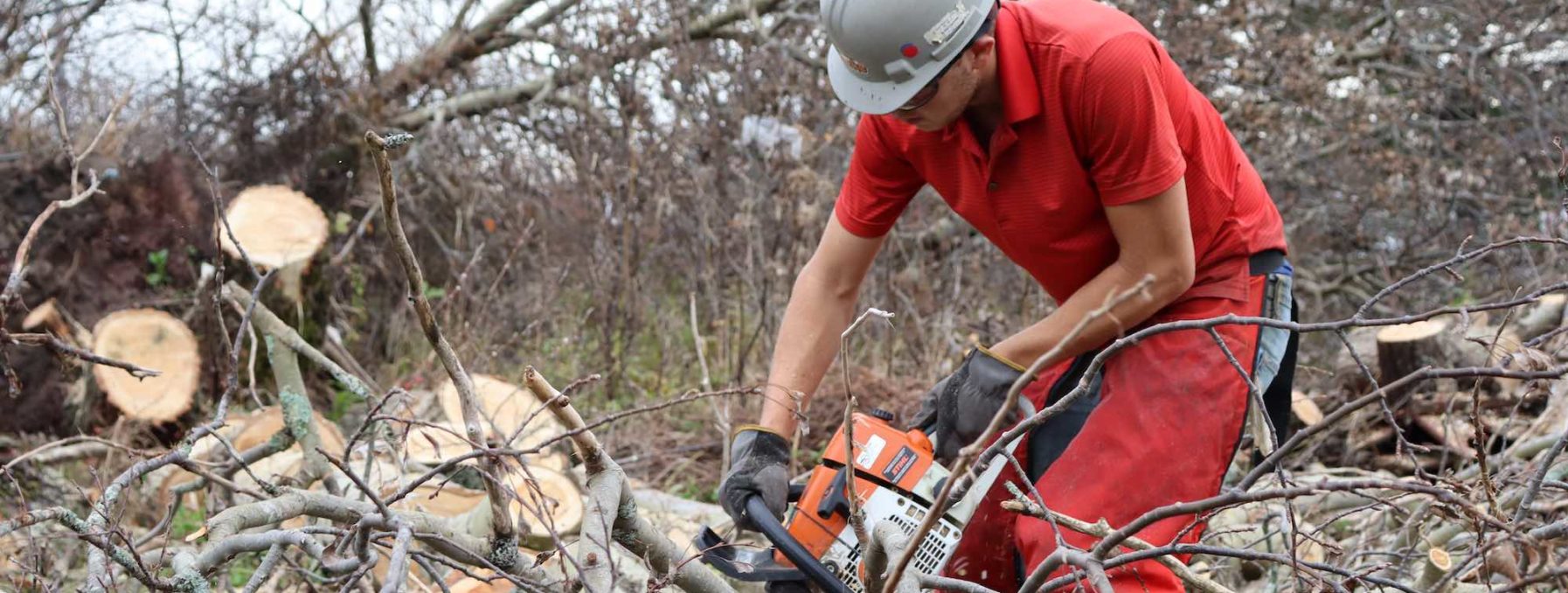 Volunteer David Peters cuts up downed trees in Glace Bay, Nova Scotia.