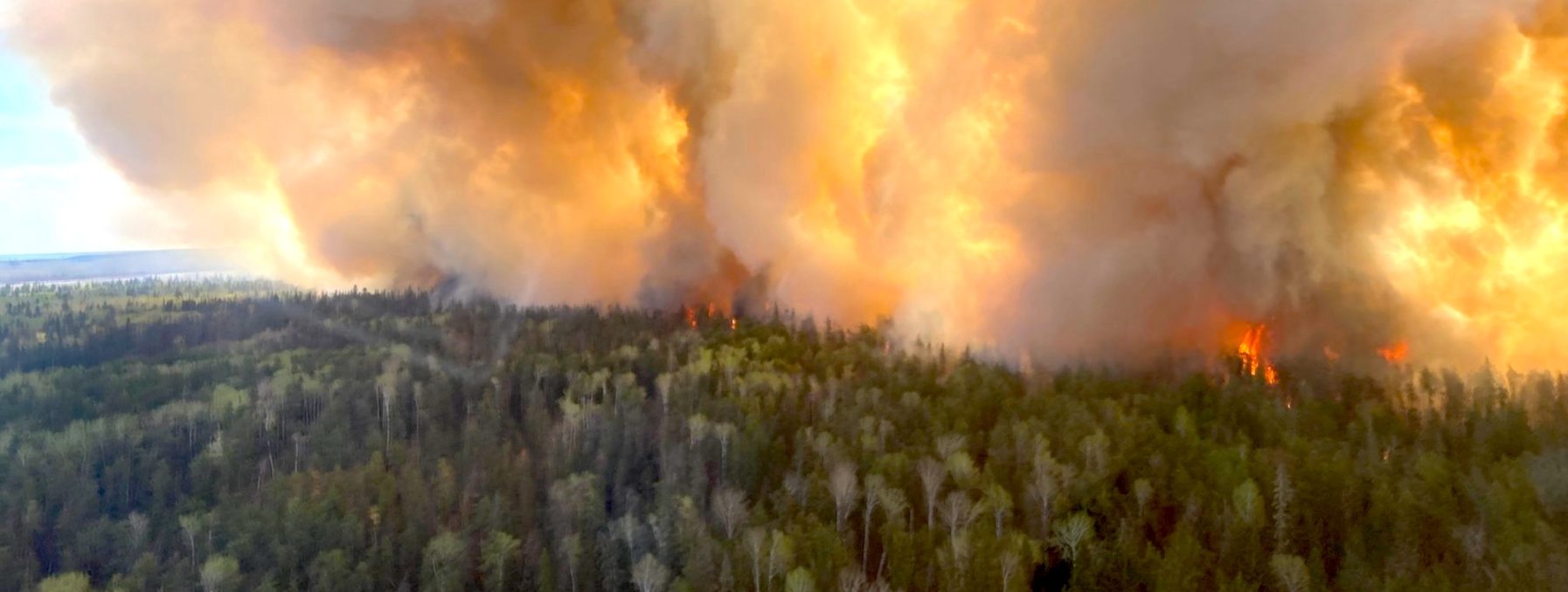 Fire in Alberta, CA sweeps across woodland