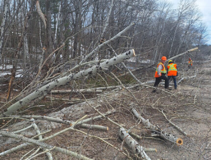 Volunteers clear brush and tree limbs from roads.