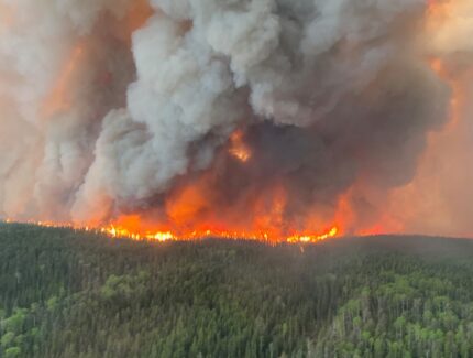 Fire and smoke fill the sky over a forest scene