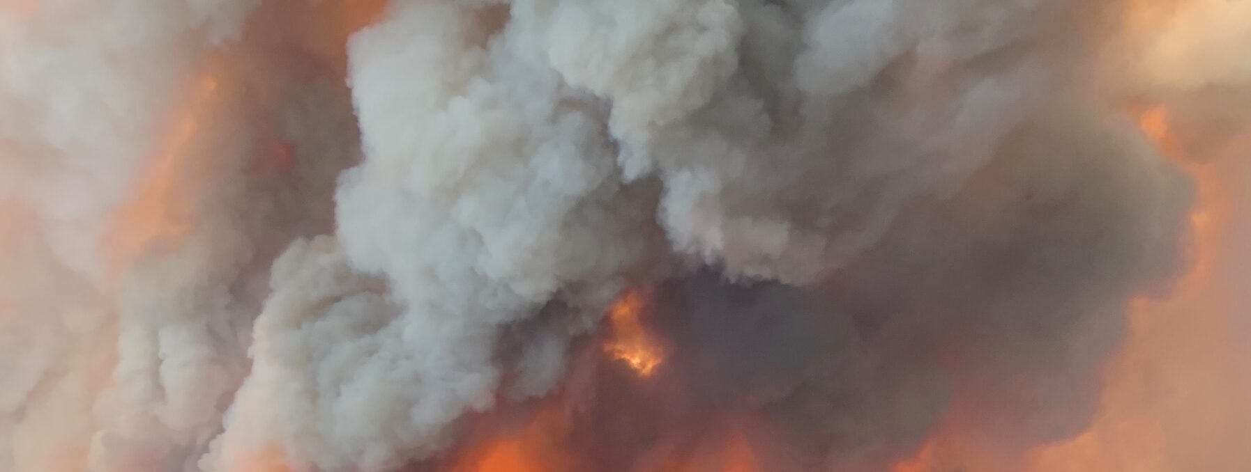 Fire and smoke fill the sky over a forest scene