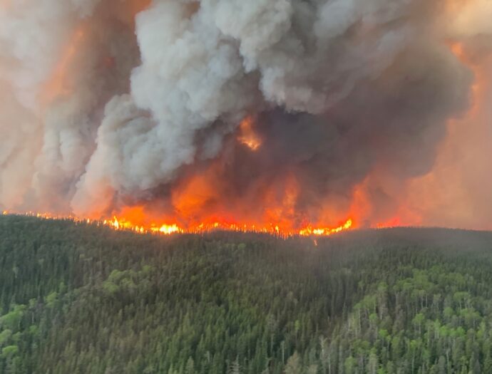 Fire and smoke fill the sky over a forest scene