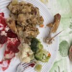 Picnic dinner plate