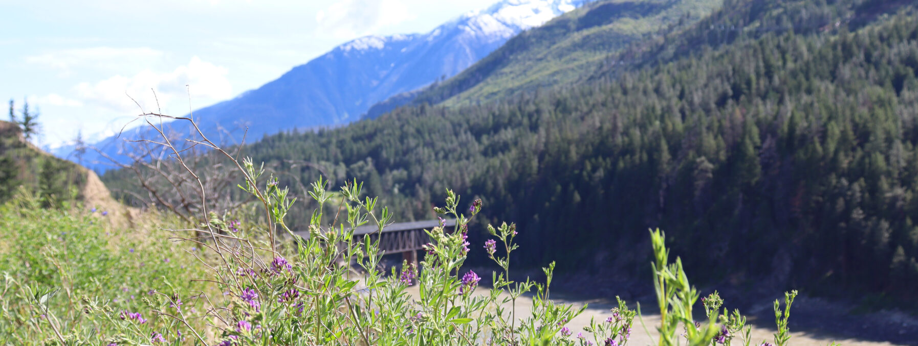 A rail bridge over a river, with mountains in the distance