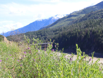 A rail bridge over a river, with mountains in the distance
