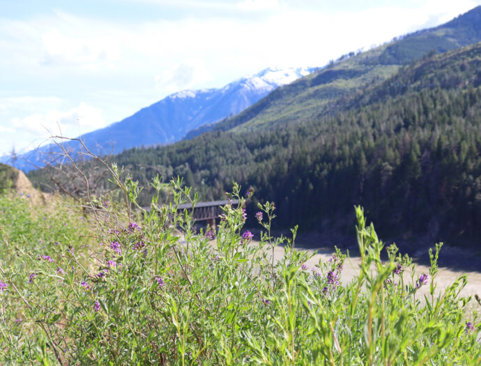 A rail bridge over a river, with mountains in the distance
