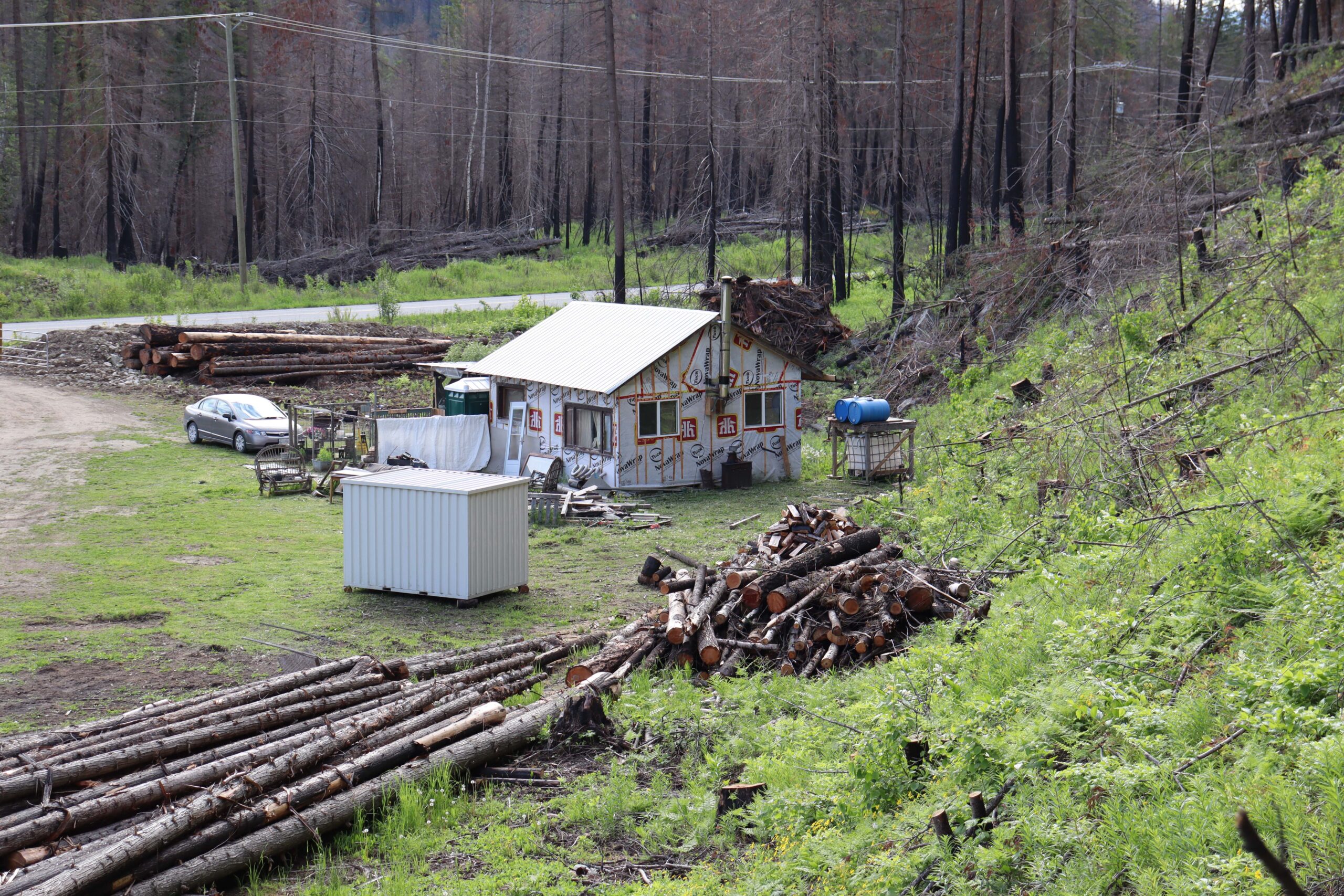 A yard with cut wood and a Tyvek-wrapped cabin