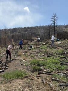MDS Rocky Mountain Unit volunteers respond to Colorado Wildfires